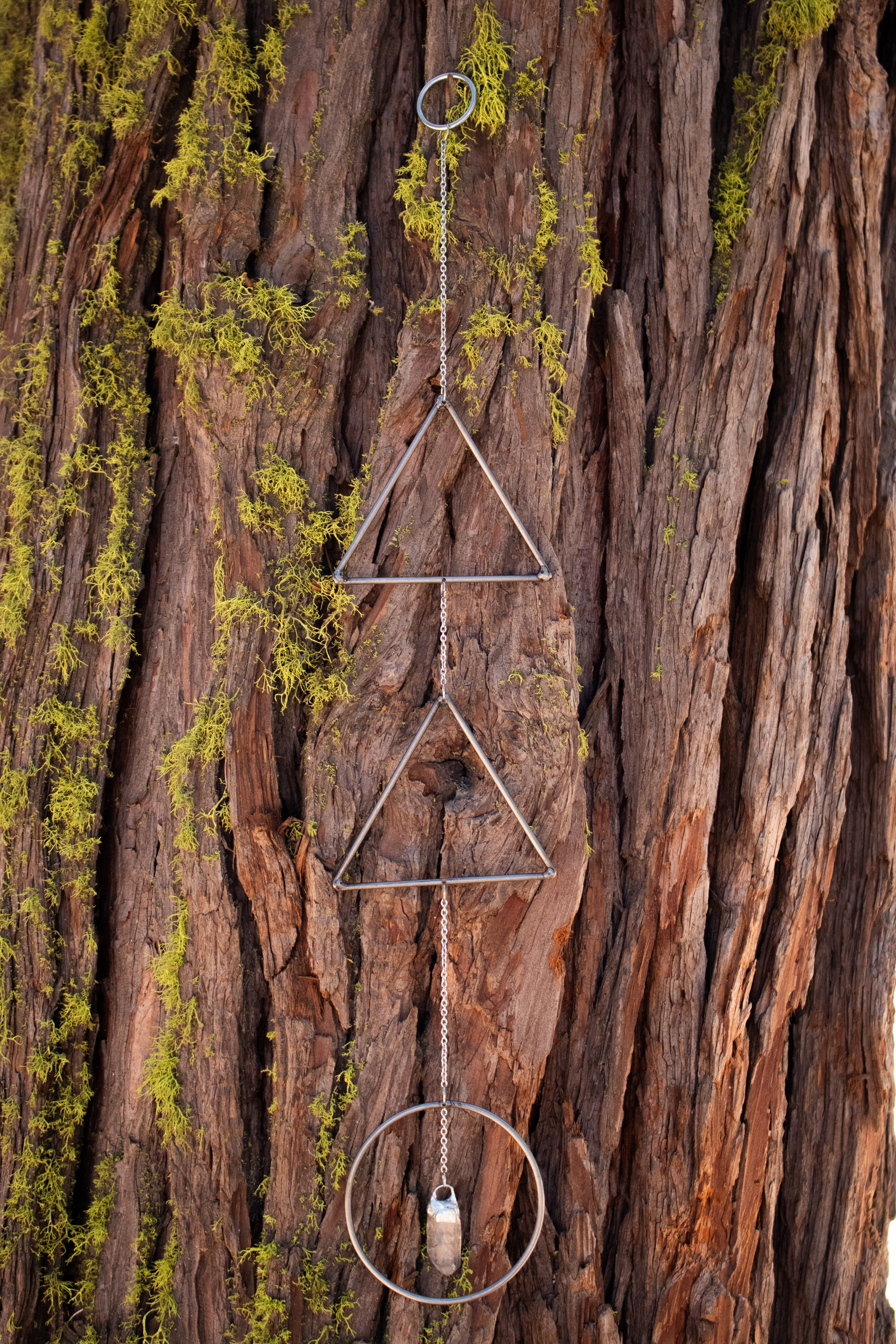 Low Tide Wall Hanger
